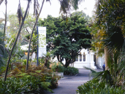 Plants and the front of the Palm Grove Centre at the Royal Botanic Gardens