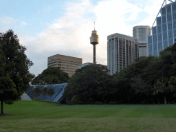 Grassland and the Sydney Tropical Centre at the Royal Botanic Gardens, and the Sydney Tower and other skyscrapers in the city center