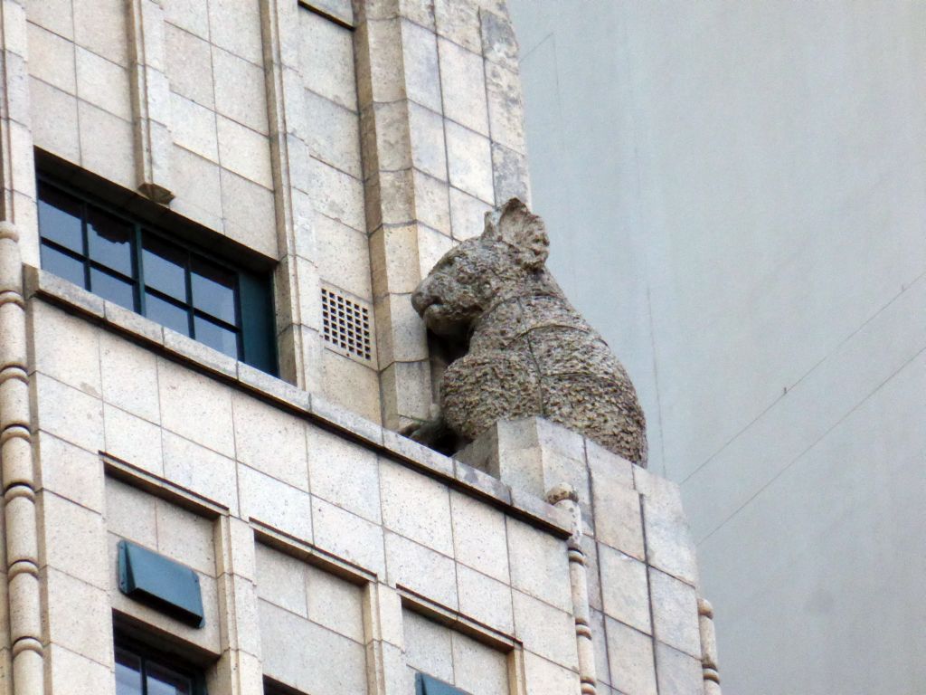 Koala gargoyle at the British Medical Association House at Macquarie Street