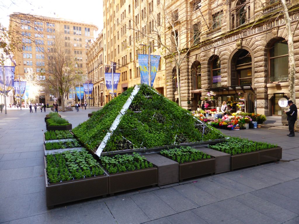 Plants and flowers at Martin Place