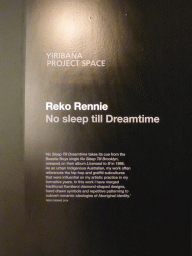 Explanation on the piece of art `No sleep till Dreamtime` by Reko Rennie, at the Lower Floor 3 of the Art Gallery of New South Wales