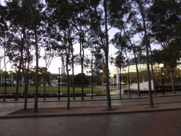 Trees and grassland at the Tumbalong Park