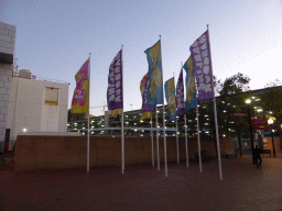 Darling Harbour flags at Little Pier Street, at sunset