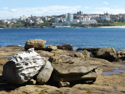 The southwest side of Bondi Beach, viewed from the North Bondi Rocks