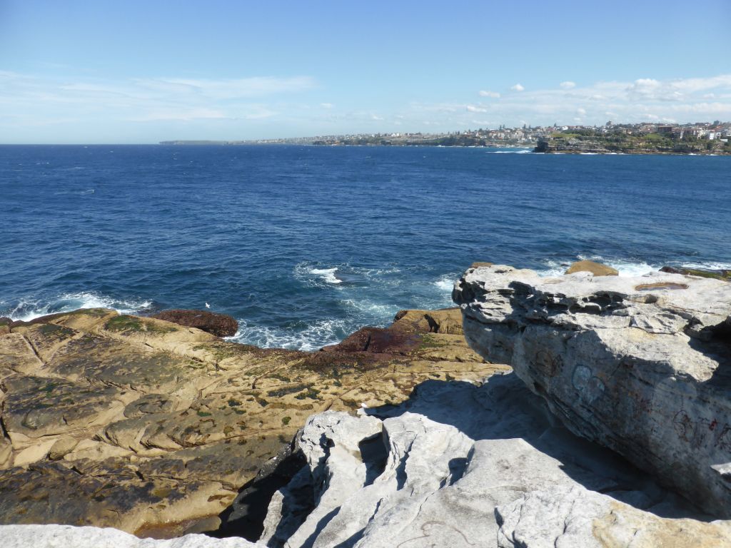 The North Bondi Rocks, viewed from the Sam Fiszman Park