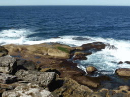 The North Bondi Rocks, viewed from the Sam Fiszman Park