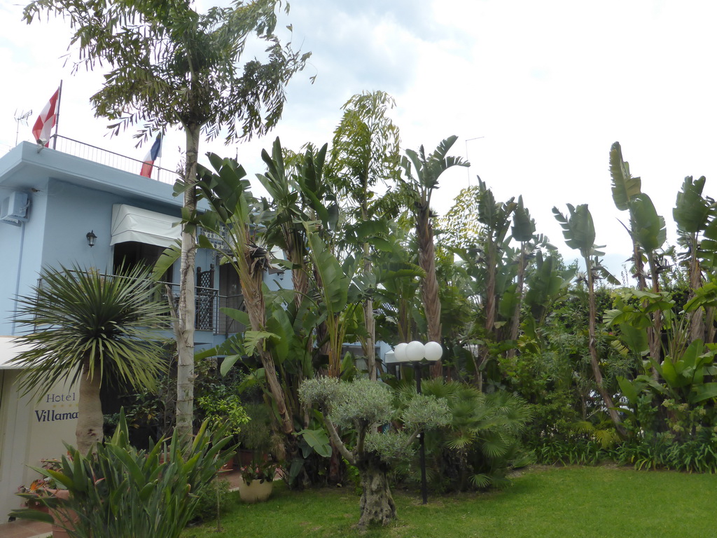 Garden of the Hotel Villamare at the village of Fontane Bianche