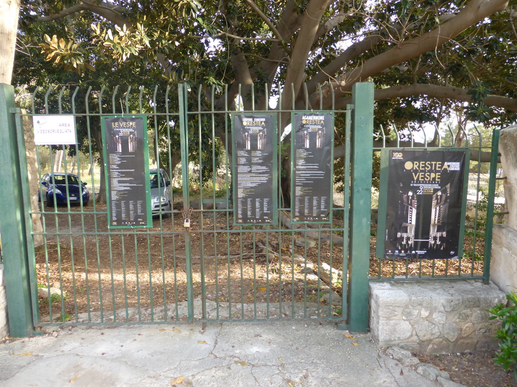 Information on shows at the Greek Theatre at the Parco Archeologico della Neapolis park