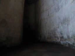 Interior of the Orecchio di Dionisio cave at the Latomia del Paradiso quarry at the Parco Archeologico della Neapolis park