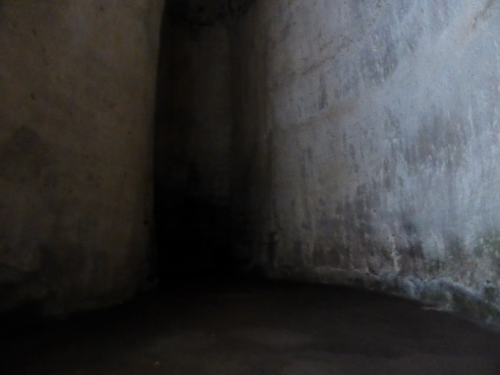 Interior of the Orecchio di Dionisio cave at the Latomia del Paradiso quarry at the Parco Archeologico della Neapolis park