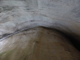 Ceiling of the Orecchio di Dionisio cave at the Latomia del Paradiso quarry at the Parco Archeologico della Neapolis park