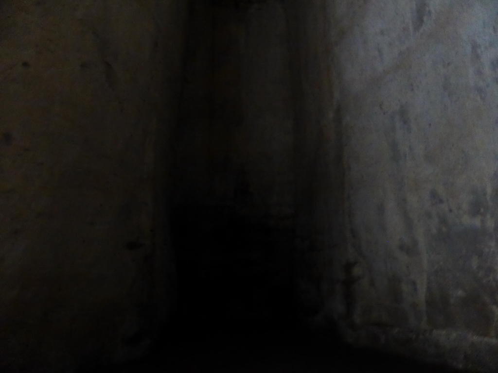 Interior of the Orecchio di Dionisio cave at the Latomia del Paradiso quarry at the Parco Archeologico della Neapolis park