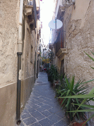 The Vicolo Zuccola street