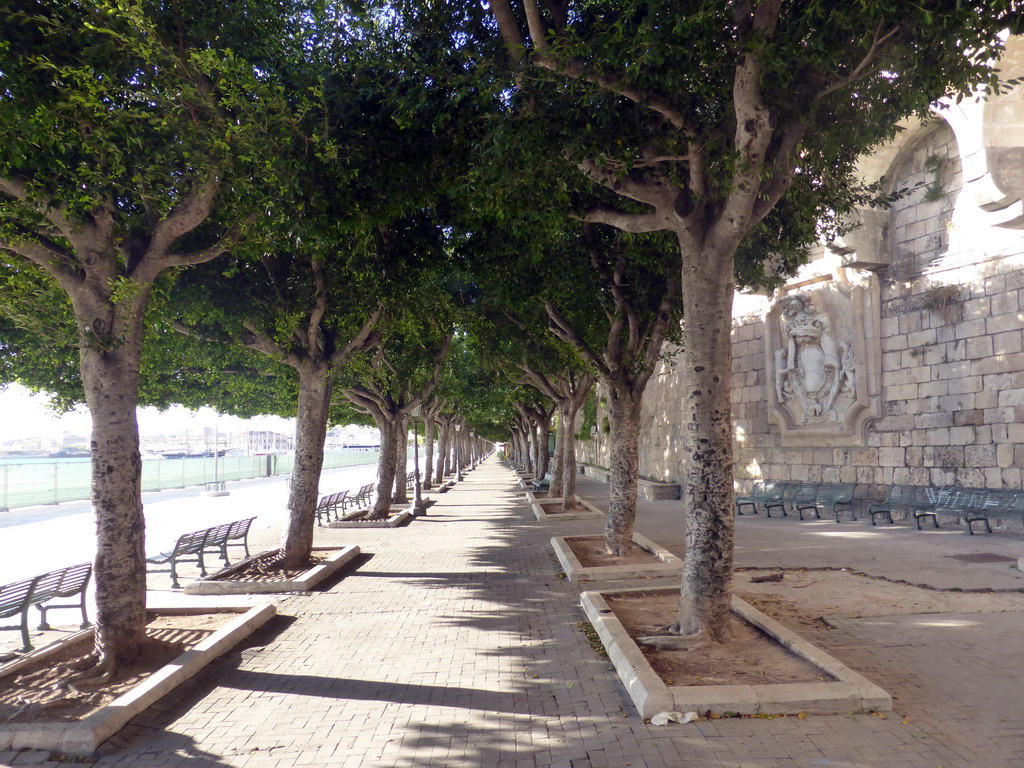 The Foro Vittorio Emanuele II street