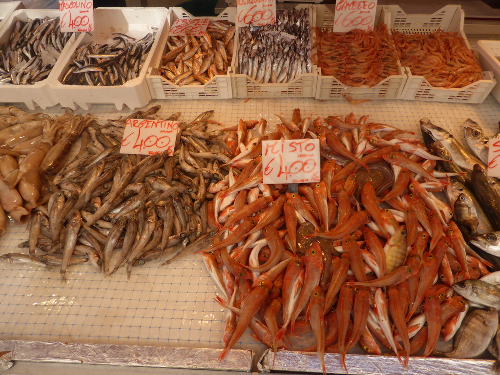 Fish at a market stall at the Via Emanuele de Benedictis street