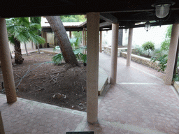 Courtyard at the entrance to the Catacombs of San Giovanni