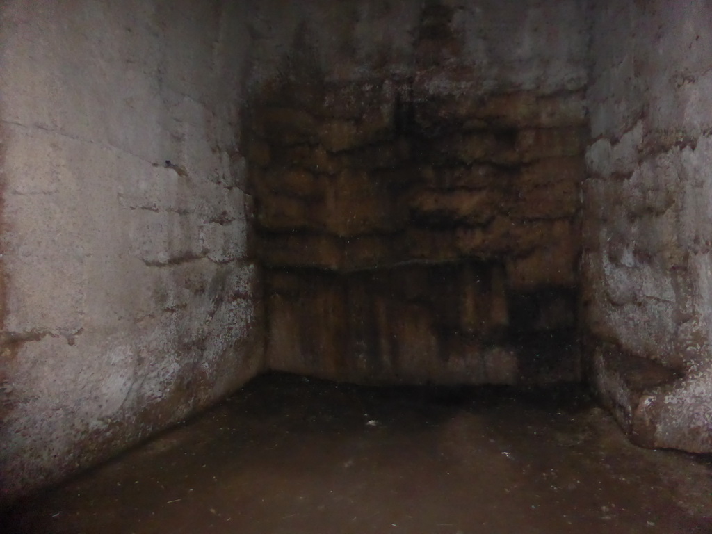 Back wall in the Orecchio di Dionisio cave at the Latomia del Paradiso quarry at the Parco Archeologico della Neapolis park