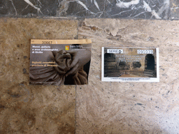 Tickets to the Catacombs of San Giovanni and the Paolo Orsi Archaeological Museum