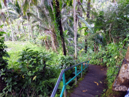 Staircase at the south part of the Tegalalang rice terraces