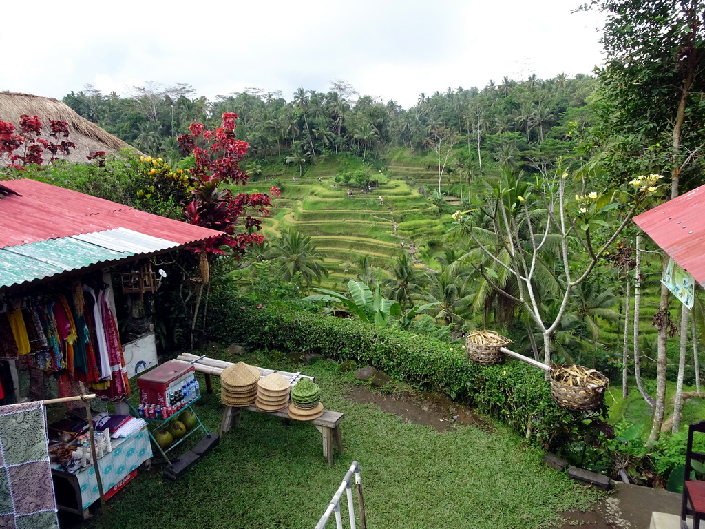 Souvenir shop and the center part of the Tegalalang rice terraces, viewed from the Jalan Raya Tegalalang street
