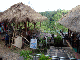 The Rice Terrace Café and the center part of the Tegalalang rice terraces, viewed from the Jalan Raya Tegalalang street