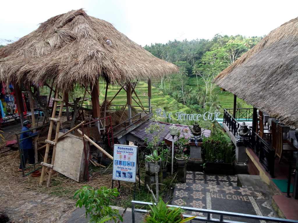 The Rice Terrace Café and the center part of the Tegalalang rice terraces, viewed from the Jalan Raya Tegalalang street