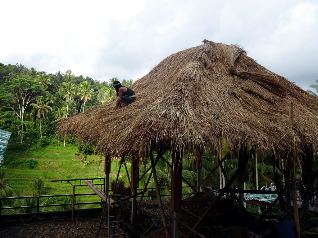 The Rice Terrace Café and the center part of the Tegalalang rice terraces, viewed from the Jalan Raya Tegalalang street