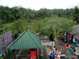 Souvenir shop and the center part of the Tegalalang rice terraces, viewed from the Jalan Raya Tegalalang street