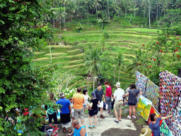 Souvenir shop and the center part of the Tegalalang rice terraces, viewed from the Jalan Raya Tegalalang street