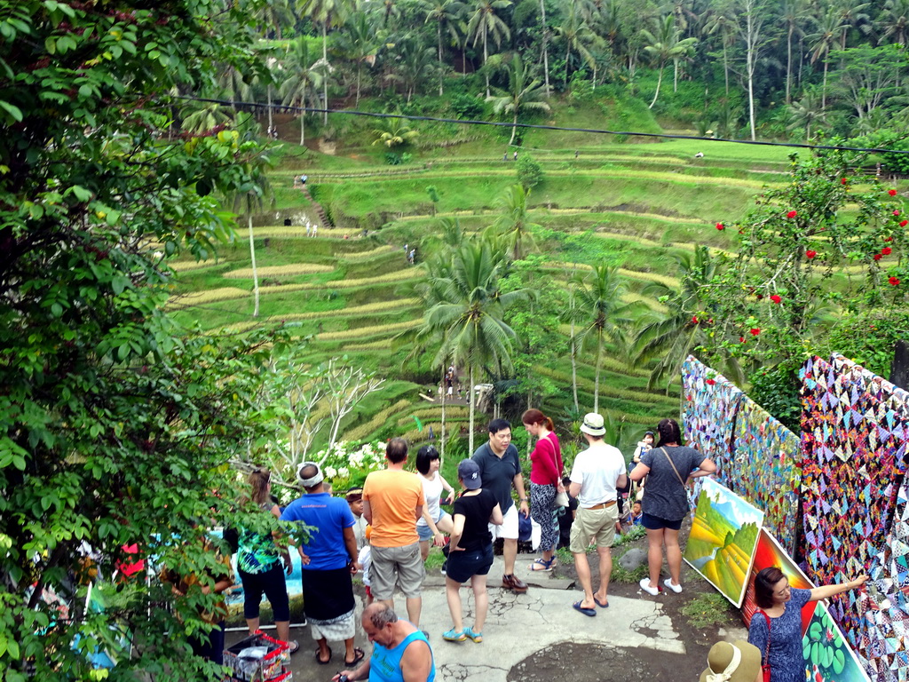 Souvenir shop and the center part of the Tegalalang rice terraces, viewed from the Jalan Raya Tegalalang street