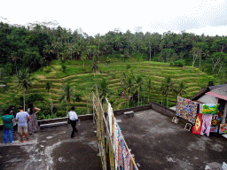 Souvenir shop and the center part of the Tegalalang rice terraces, viewed from the Jalan Raya Tegalalang street