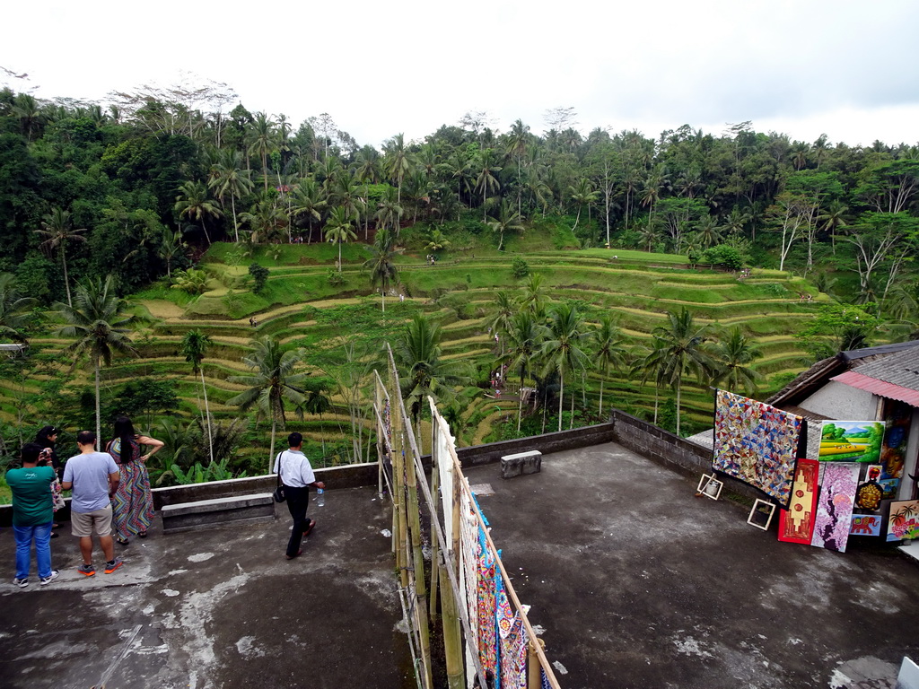 Souvenir shop and the center part of the Tegalalang rice terraces, viewed from the Jalan Raya Tegalalang street