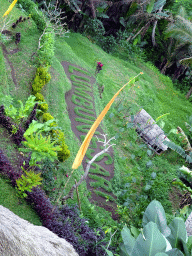 Text `Lumbung Sari` at the north part of the Tegalalang rice terraces, viewed from the Lumbing Sari Warung café