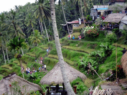 Staircase and souvenir shops at the center part of the Tegalalang rice terraces, viewed from the Lumbing Sari Warung café