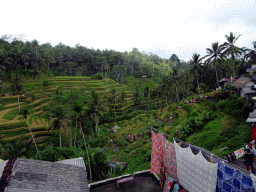 The center part of the Tegalalang rice terraces, viewed from the Jalan Raya Tegalalang street