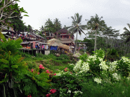 Souvenir shops, the Lumbing Sari Warung café and plants with flowers, viewed from the staircase through the rice fields