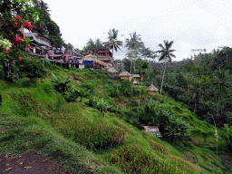 Souvenir shops and the Lumbing Sari Warung café, viewed from the staircase through the rice fields