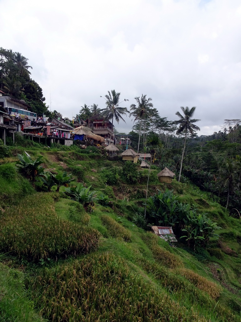Souvenirs shops and the Lumbing Sari Warung café, viewed from the staircase through the rice fields