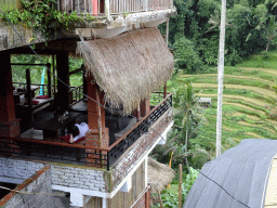 Miaomiao at the Lumbing Sari Warung café and the north part of the Tegalalang rice terraces, viewed from the Jalan Raya Tegalalang street