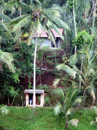 Shack and toilet at the north part of the Tegalalang rice terraces, viewed from the Lumbing Sari Warung café