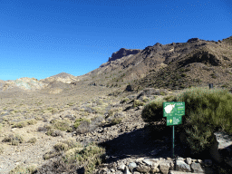 The TF-21 road and rocks at the east side of the Boca Tauce viewpoint