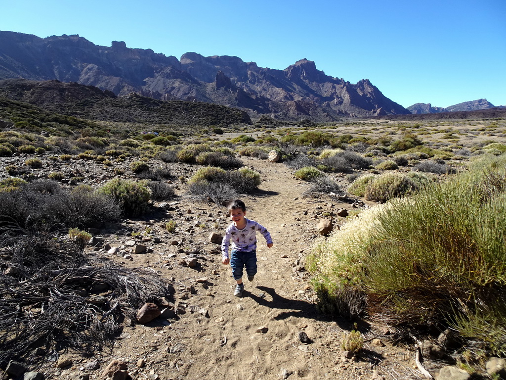 Max at the Boca Tauce viewpoint, with a view on the southwest side of the Cañadas del Teide crater