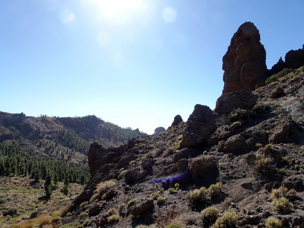 Hills, rocks and trees on the southwest side of the Teide National Park, viewed from the parking lot of the Ethnographic Museum Juan Évora