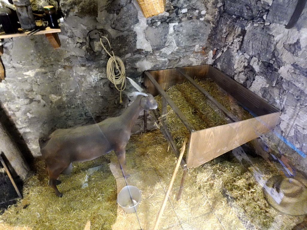 Shed with a wax statue of a goat at the Ethnographic Museum Juan Évora