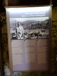 Information on `Grazing on the summit` at the Ethnographic Museum Juan Évora
