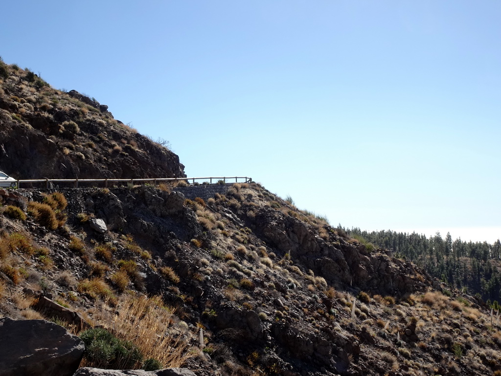 The TF-21 road, rocks and trees on the southwest side of the Teide National Park, viewed from a parking place along the road