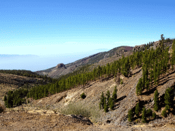 Hills, rocks and trees on the southwest side of the Teide National Park, viewed from a parking place along the TF-21 road