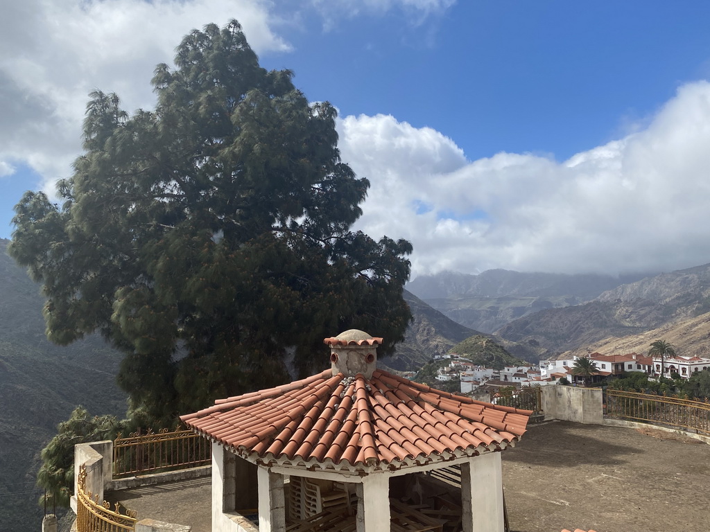 Tree and kiosk next to the Calle Dr. Domingo Hernández Guerra street