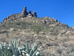 Rocks and plants next to the GC-60 road on the south side of town, viewed from the tour bus