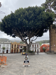Miaomiao and Max with a large tree at the Plaza Nuestra Señora del Pino square